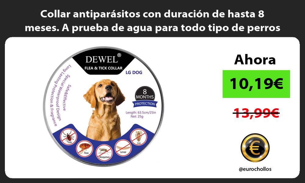 Collar antiparásitos con duración de hasta 8 meses A prueba de agua para todo tipo de perros