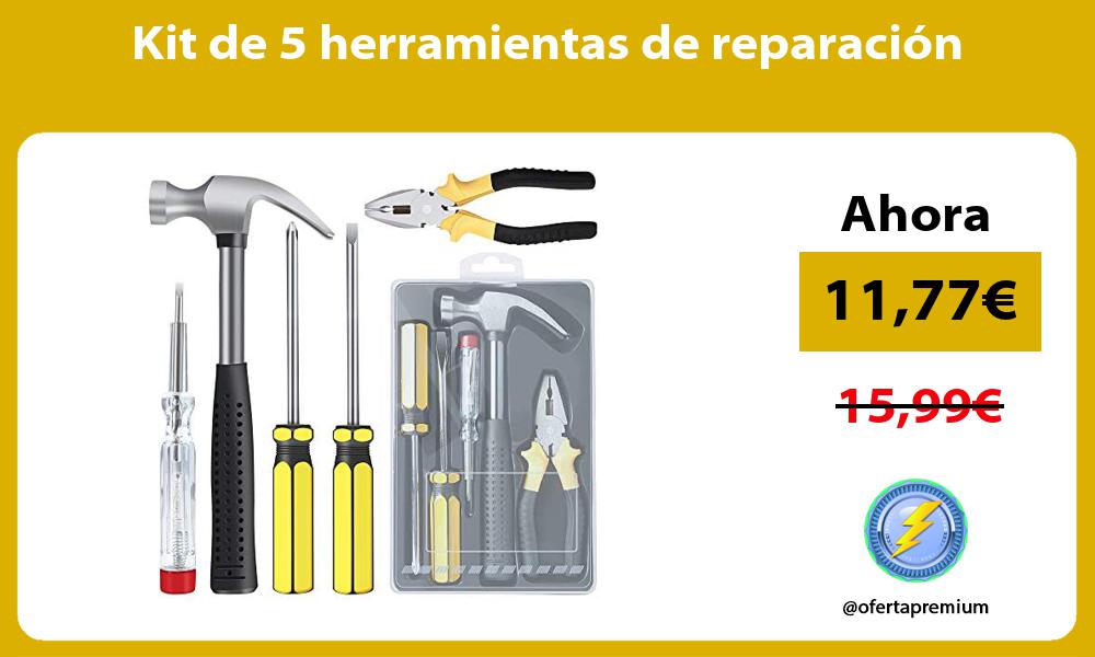 Kit de 5 herramientas de reparación