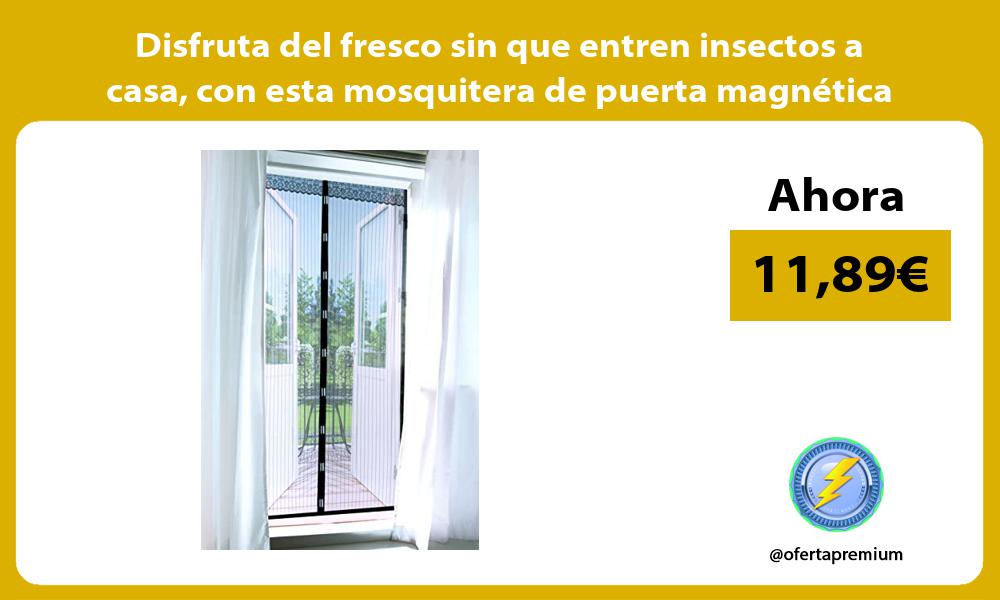 Disfruta del fresco sin que entren insectos a casa con esta mosquitera de puerta magnética