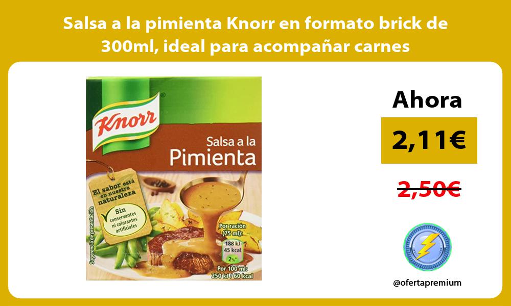 Salsa a la pimienta Knorr en formato brick de 300ml ideal para acompañar carnes