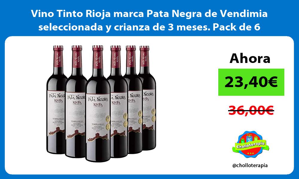 Vino Tinto Rioja marca Pata Negra de Vendimia seleccionada y crianza de 3 meses Pack de 6 botellas