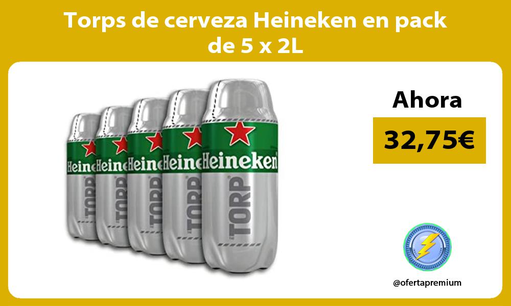 Torps de cerveza Heineken en pack de 5 x 2L