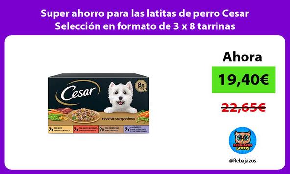 Super ahorro para las latitas de perro Cesar Selección en formato de 3 x 8 tarrinas