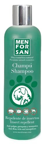 Consigue un cabello protegido de los insectos con el champú repelente de Menforsan ¡Aprovecha la oferta!