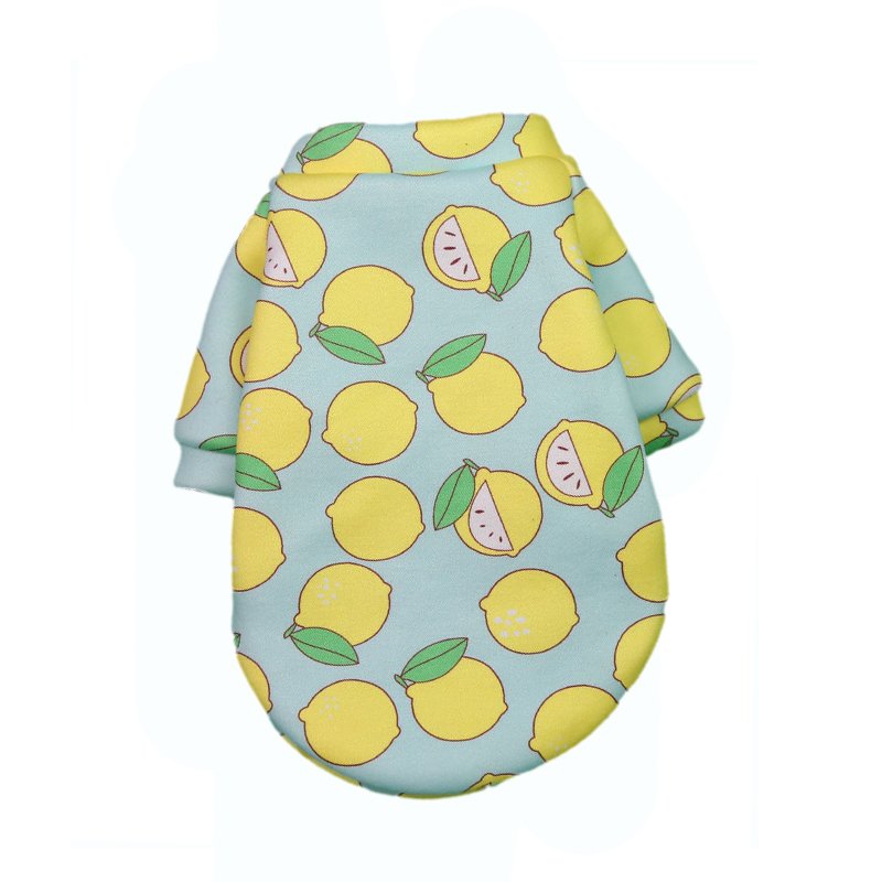 ¡Viste a tu mejor amigo con estilo! Descuentos exclusivos en abrigos para perros de todas las tallas.