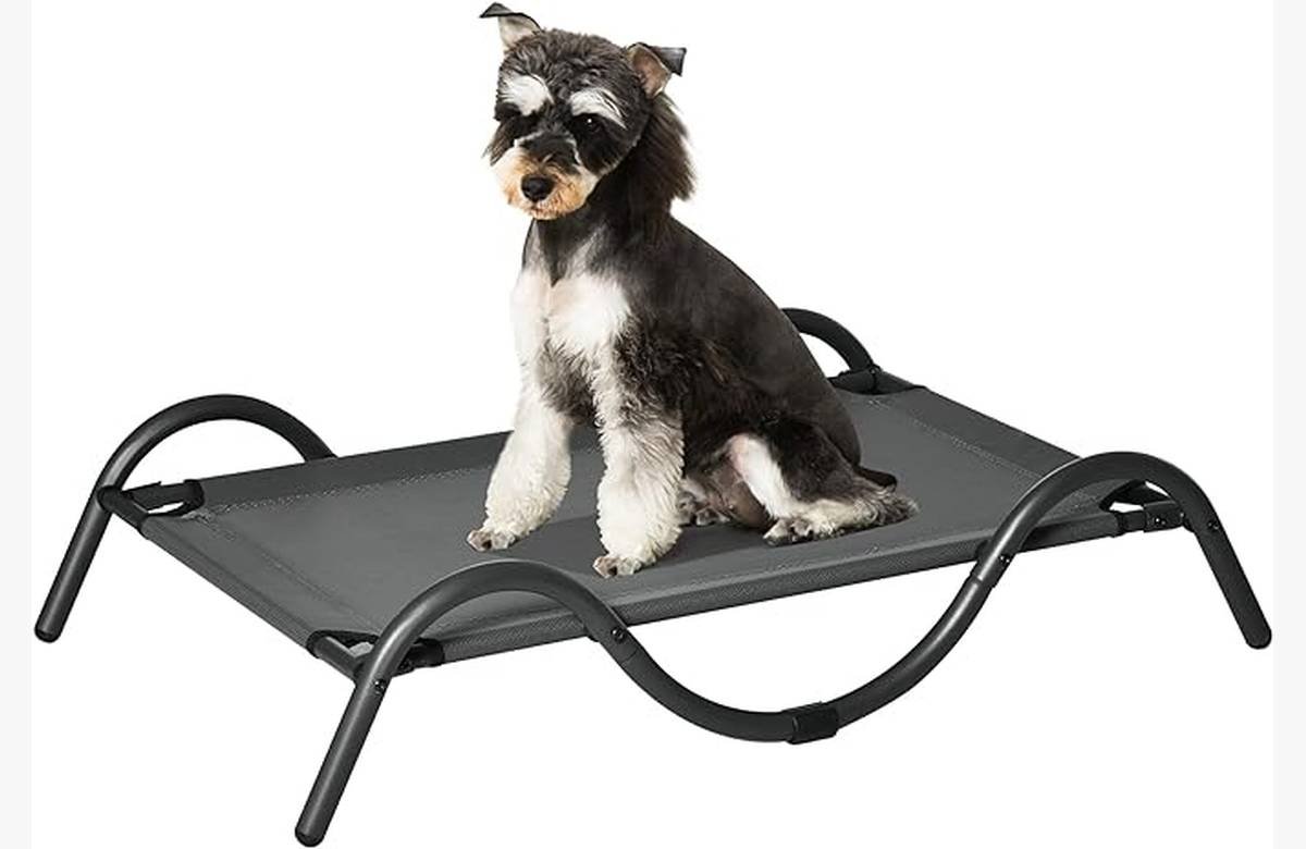 Dale a tu mejor amigo el descanso perfecto con nuestra cama transpirable para perros pequeños y medianos