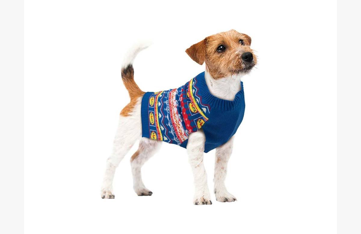 ¡Viste a tu mascota con estilo esta Navidad! Jersey navideño en Lidl, ¡precio insuperable!