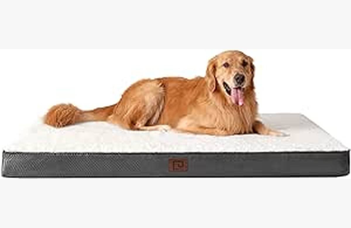 La Cama Ortopédica XL de EHEYCIGA, la solución perfecta para el confort excepcional de tu perro