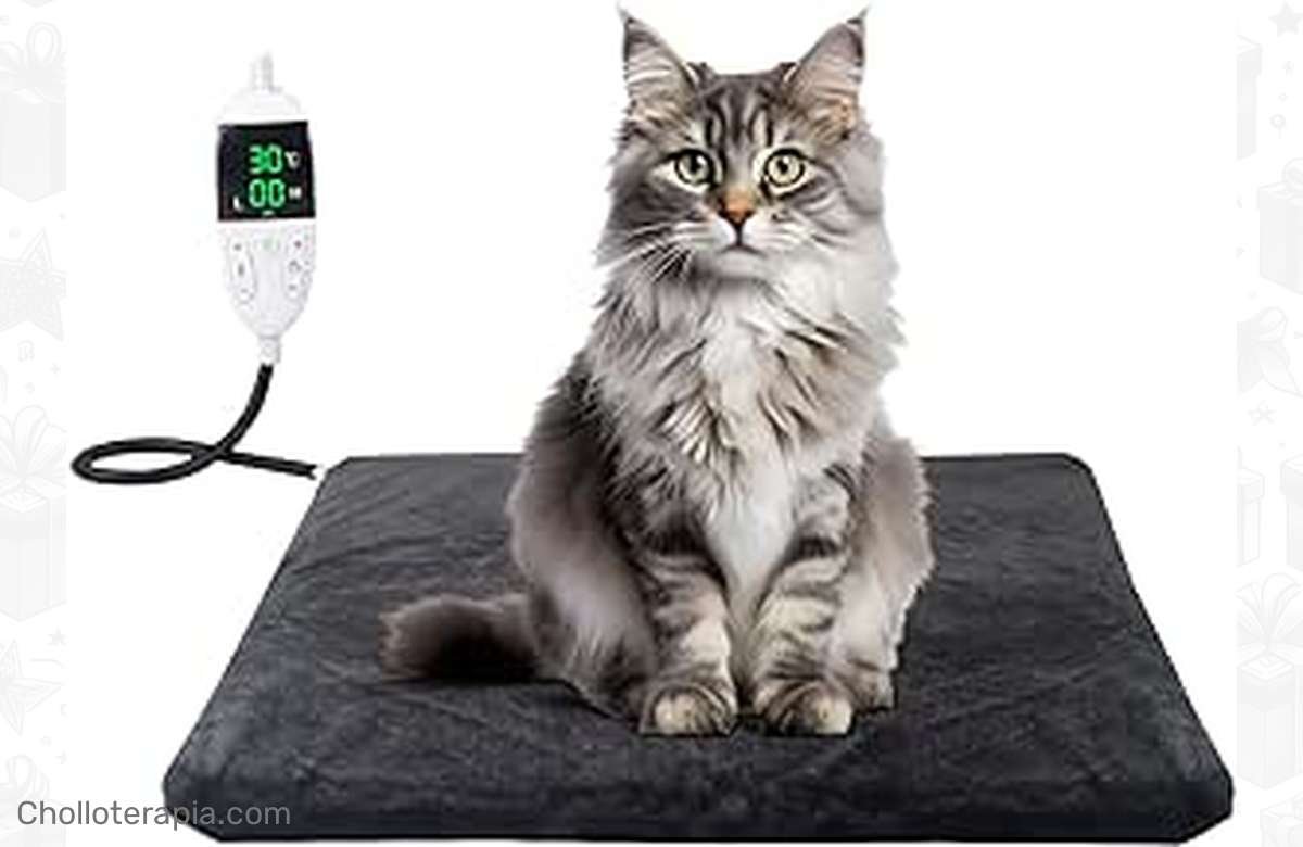 ¡Mantén a tus peludos felices y calientitos este invierno con la mejor manta térmica para mascotas!