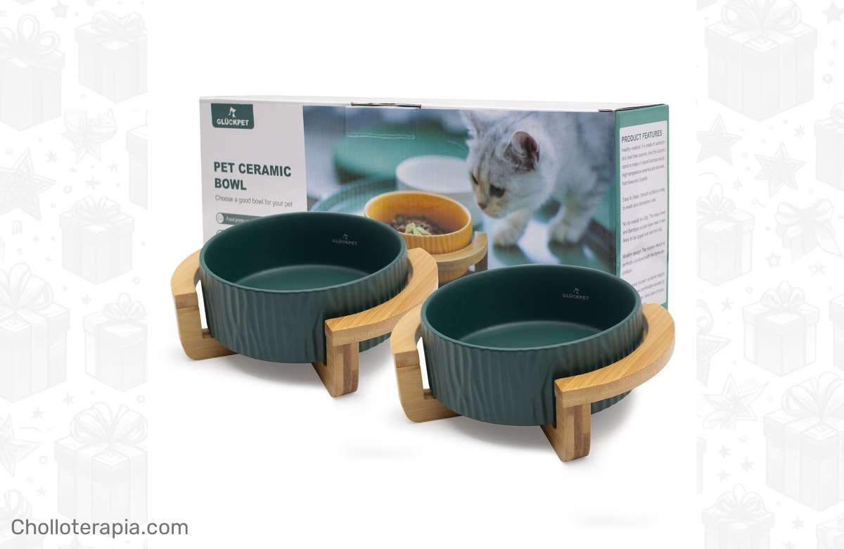 ¡Dale a tu gatito la comida más chic con el Cuenco de Cerámica GLÜCKPET® de Madera de Bambú!