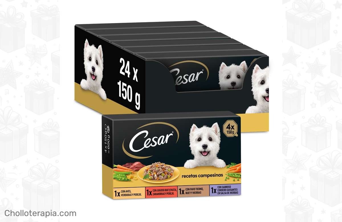 ¡Aprovecha ya esta ganga para consentir a tu peludo amado!