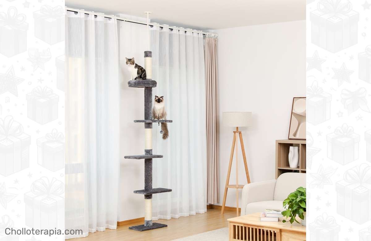 ¡Consigue el paraíso felino con este árbol de gato a precio de regalo!