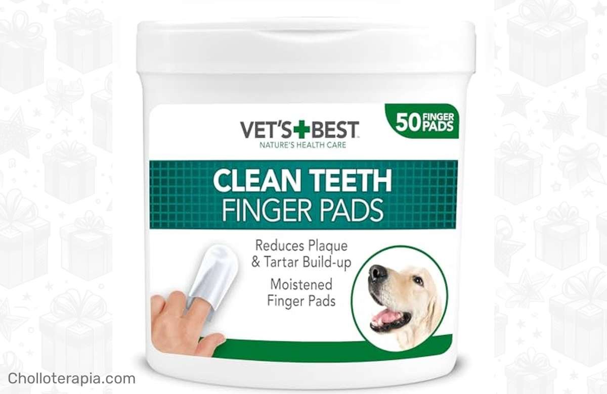 ¡Descubre la solución perfecta para el aliento fresco de tu perro!