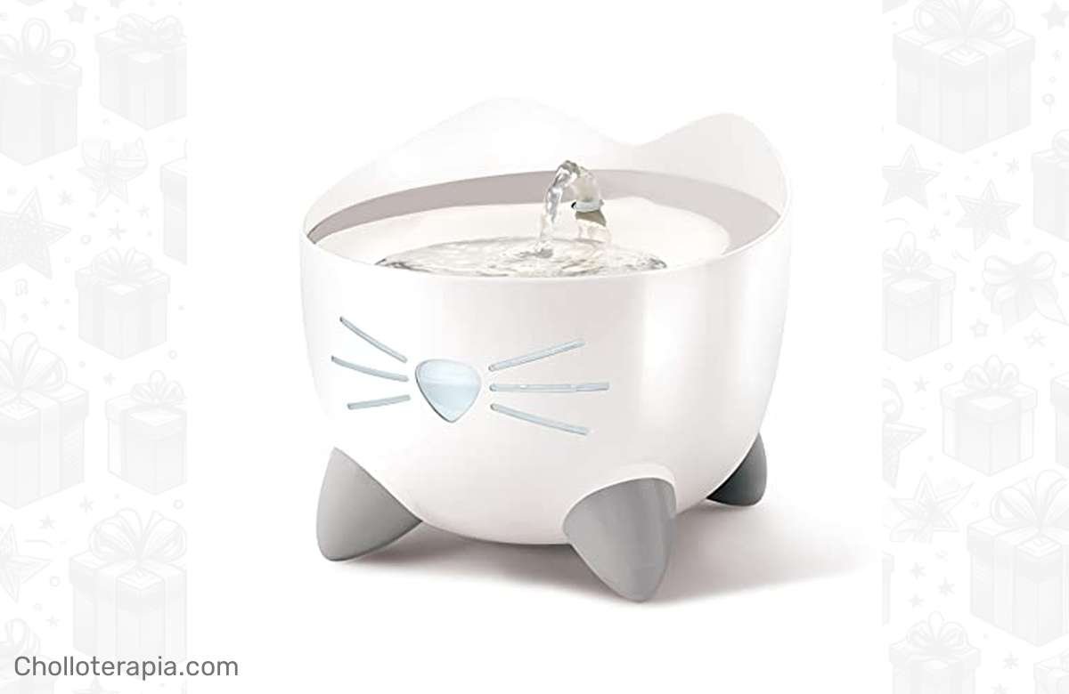 ¡Oferta especial! Bebedero de acero inoxidable para tu gato ¡No te lo pierdas!