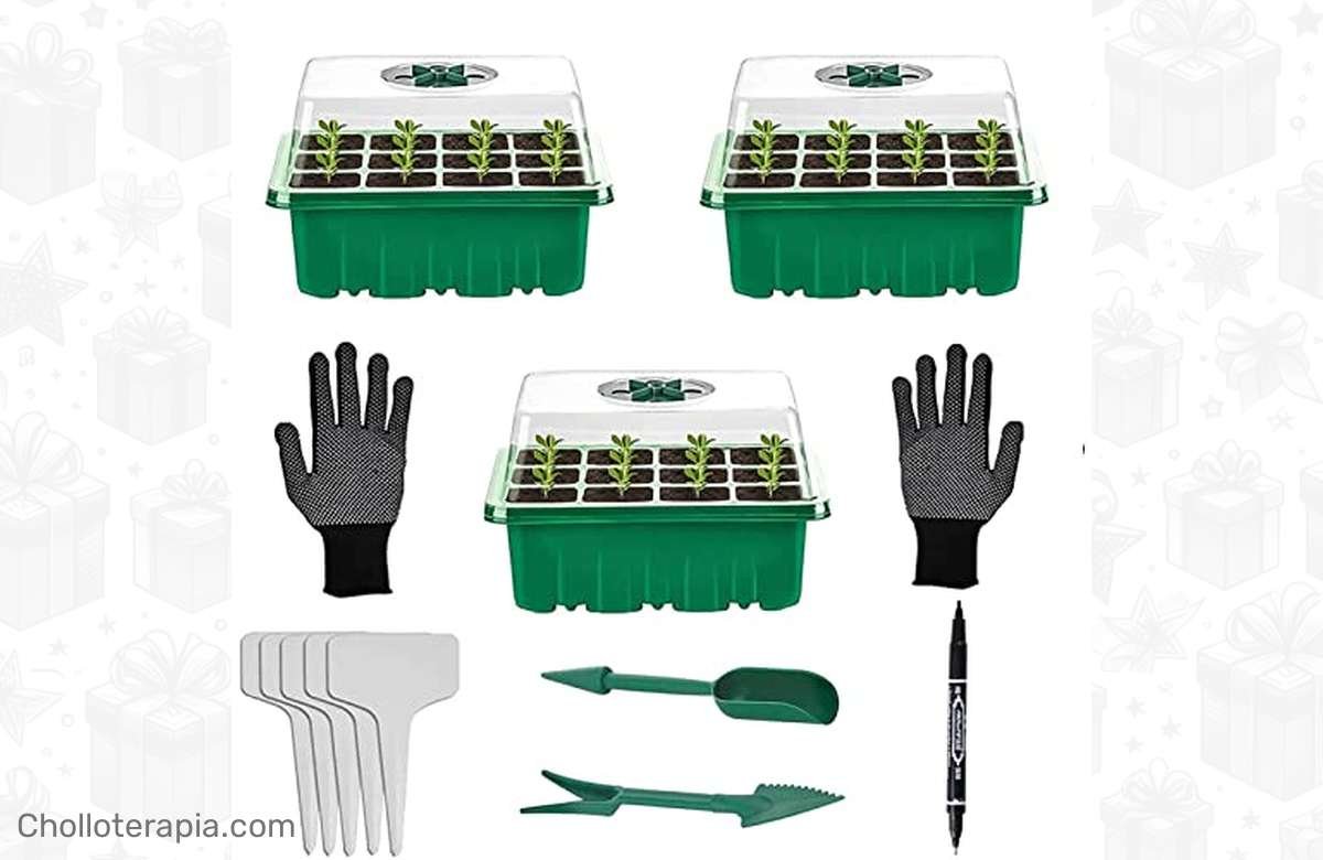 ¡Consigue tus set de bandejas de semilleros y comienza tu propio jardín hoy mismo!