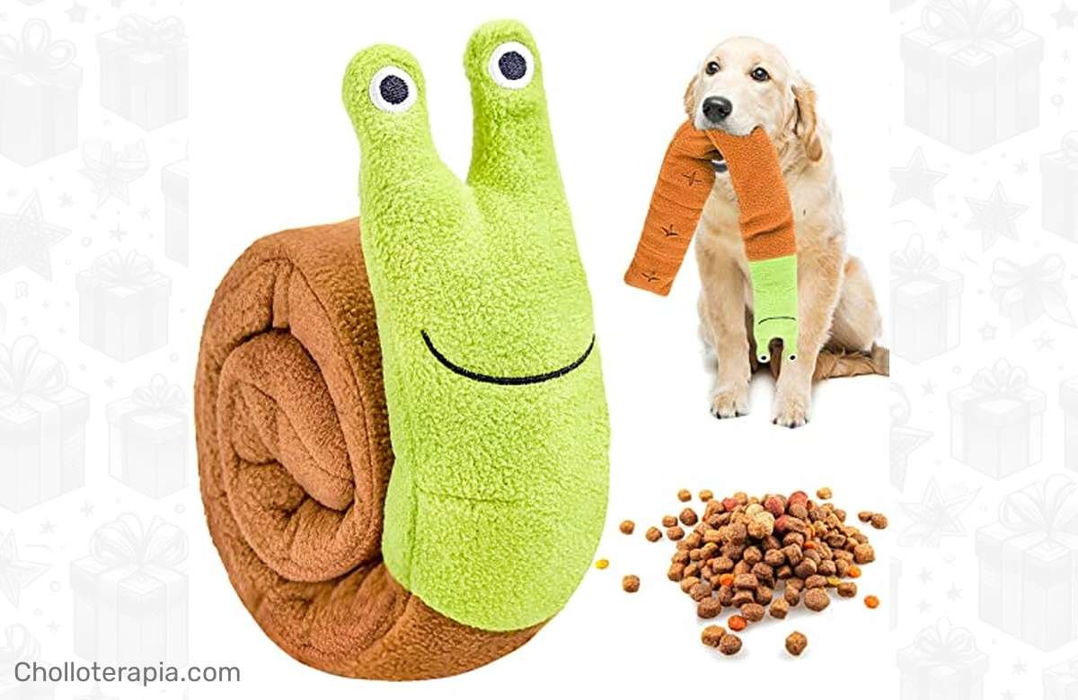 ¡Dale a tu perro el juguete ideal para su cumpleaños con MINSHUIXI!