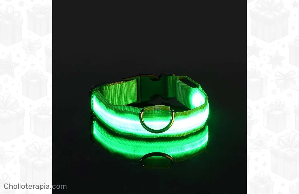 ¡No dejes pasar esta oportunidad! Correa LED de nailon para perro ¡Dale seguridad en la oscuridad!