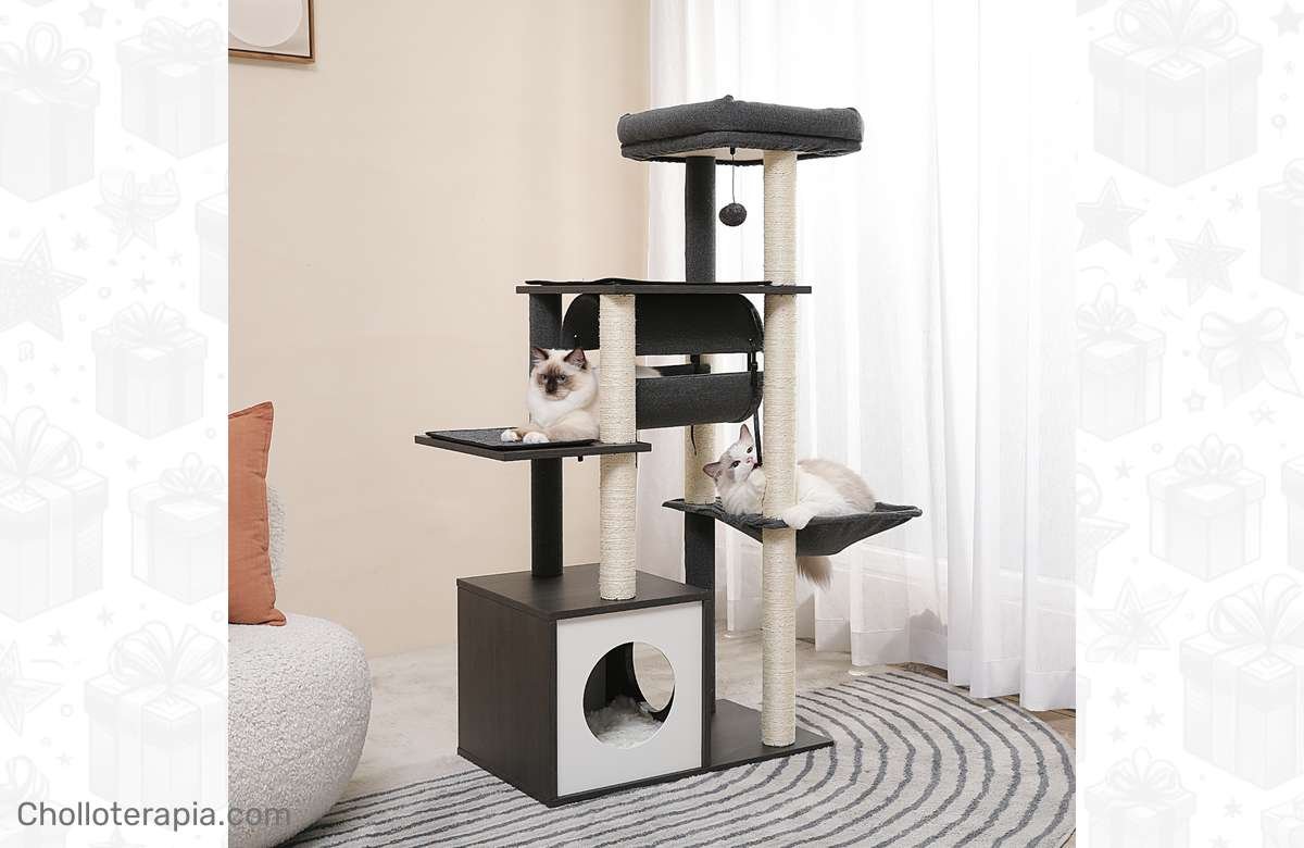 ¡Renueva el espacio de tu gato con los muebles más chic y divertidos!