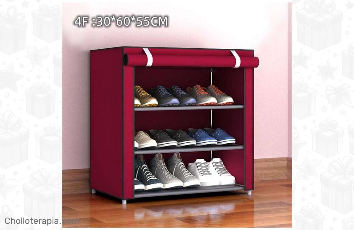 ¡Renueva tu armario con los organizadores de zapatos más trendy!