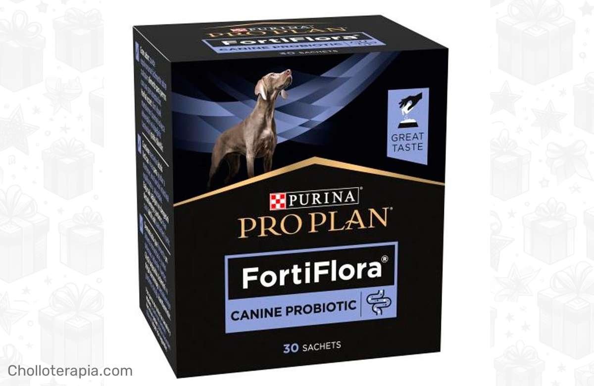 Dale a tu perro lo mejor con esta oferta única de Fortiflora Canina, ¡30 sobres para su salud y bienestar!