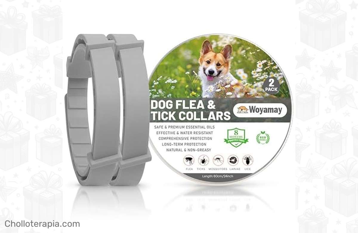 ¡Dile adiós a las pulgas y garrapatas con estos collares para tu mejor amigo!