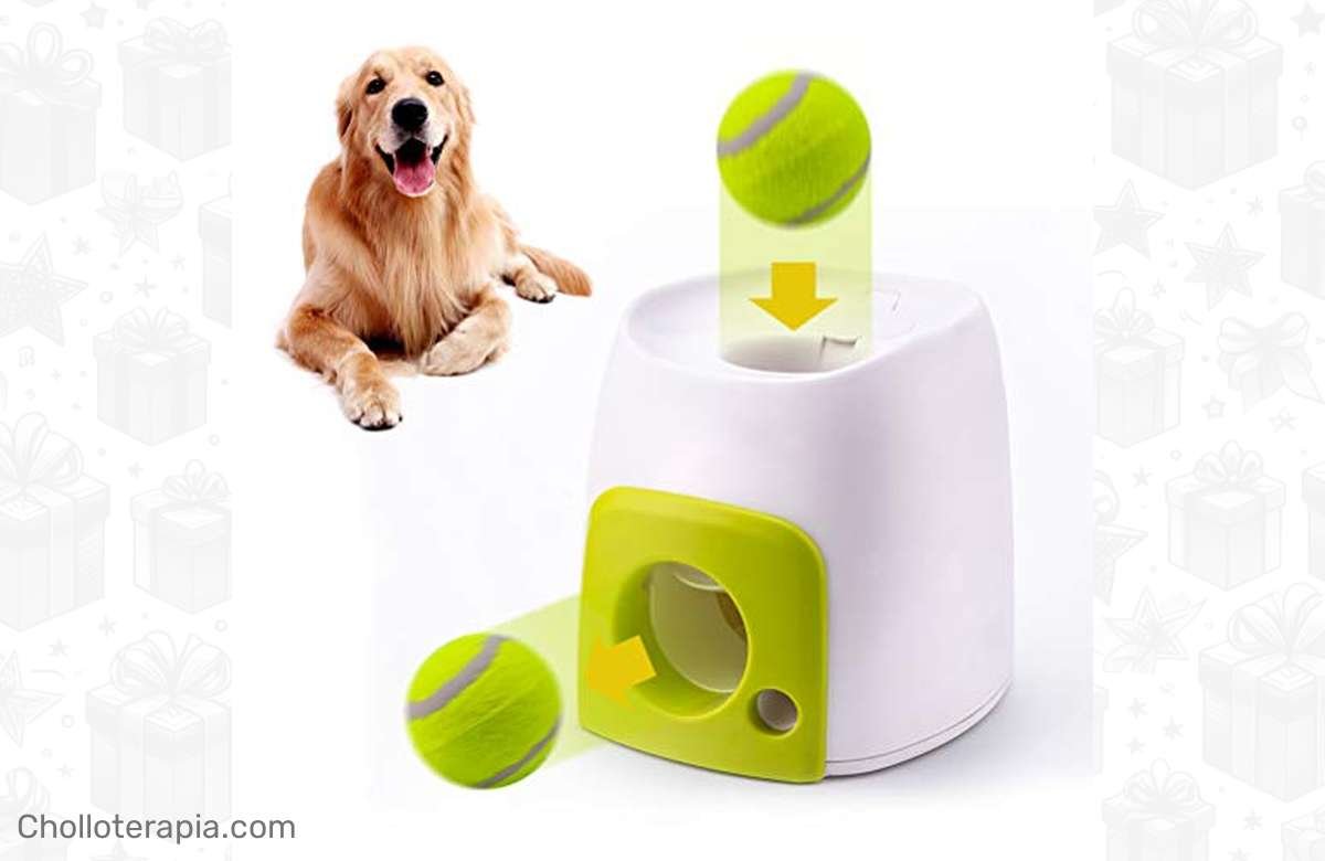 ¡No más aburrimiento para tu perro con este lanzador de pelotas!