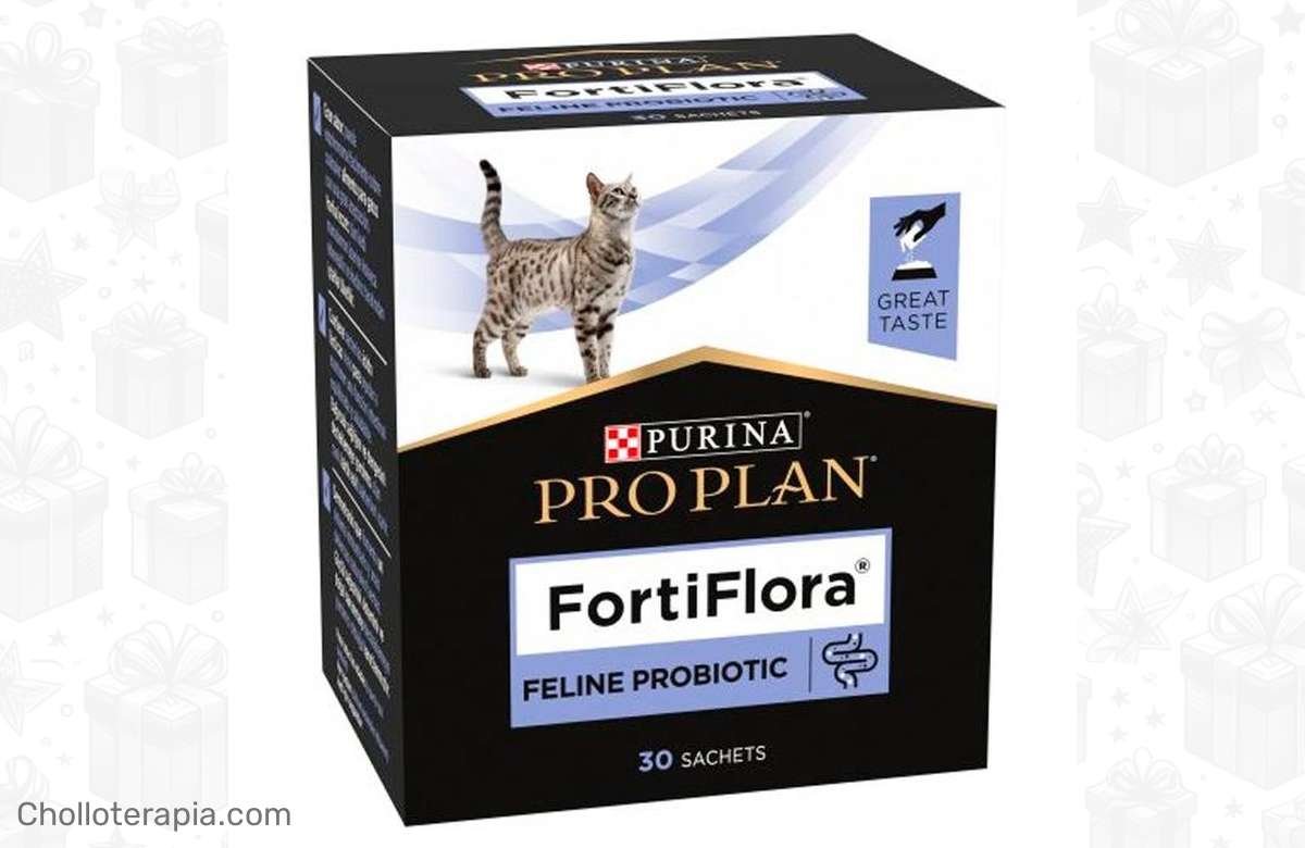 ¡No te pierdas esta ganga para la salud de tu gato!