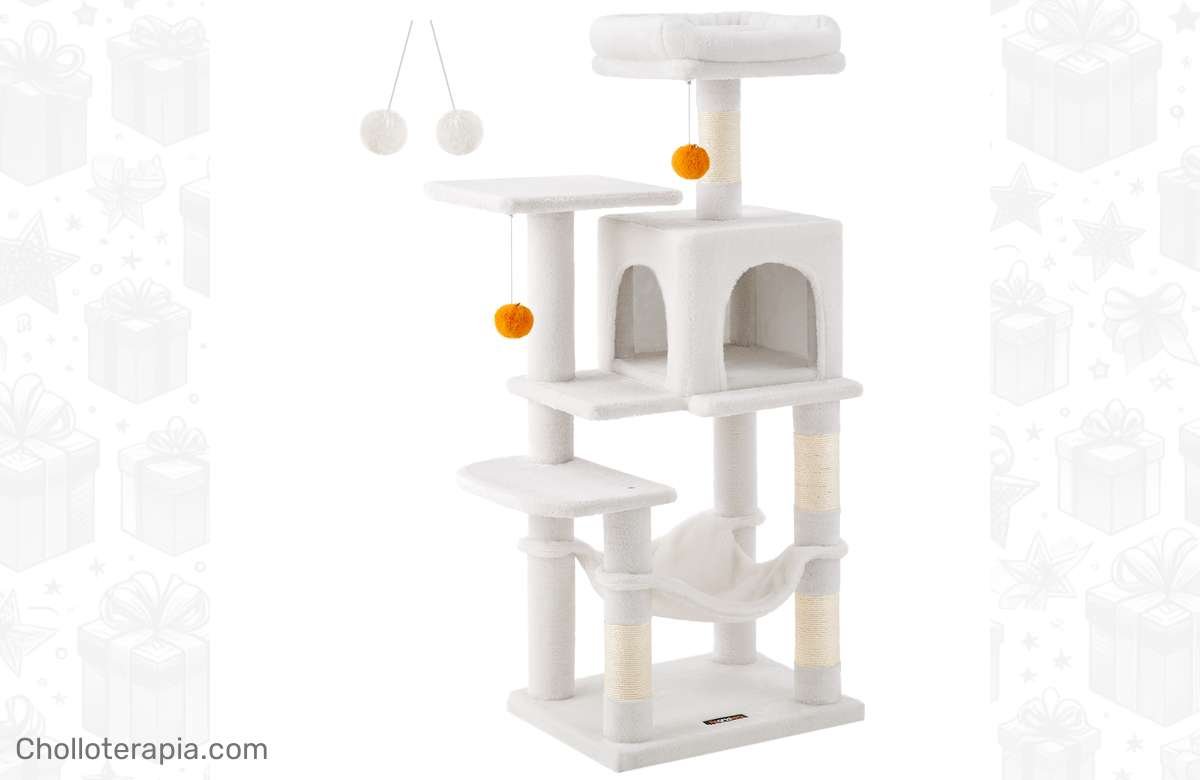 ¡Oferta única! ¡Árbol para gatos a precio de regalo! ¡No esperes más!