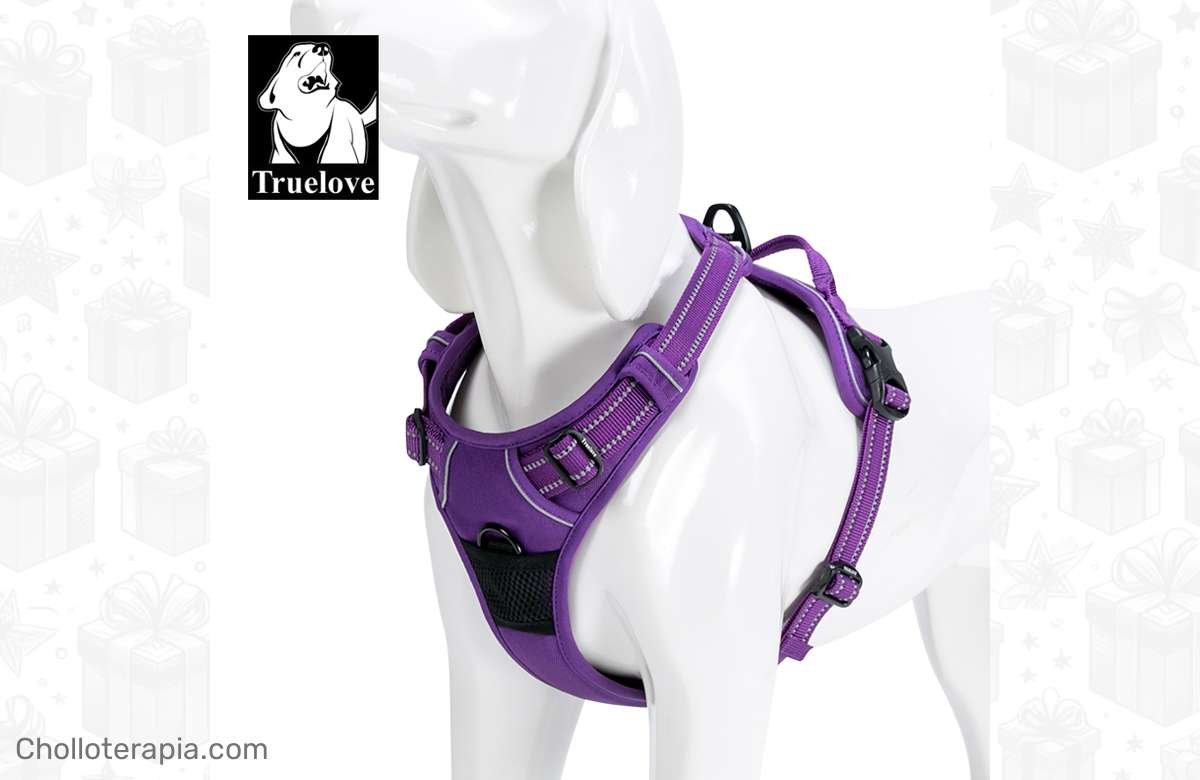 ¡Protege a tu gigante peludo con Truelove para todas las estaciones!