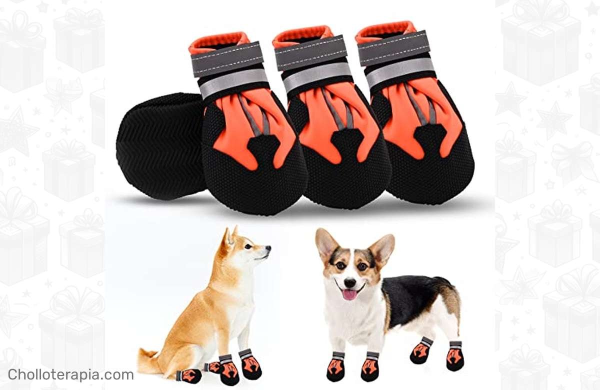 ¡Protege las patitas de tu peludo con estas botas top para todo tipo de clima!