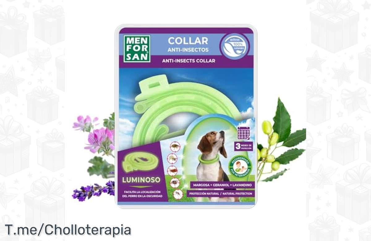 ¡Collar luminiscente anti-insectos para tu perro! ¡Descuento increíble!