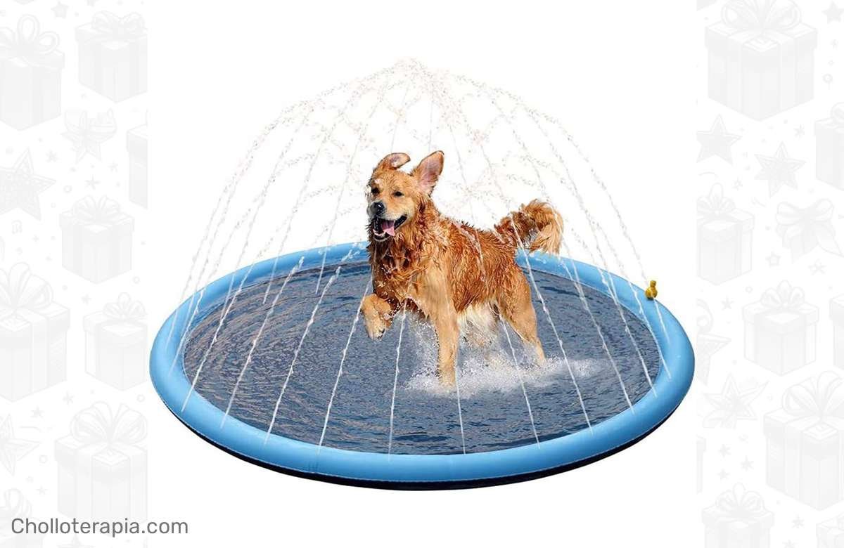 ¡Diversión asegurada para tu peludo con la alfombra rociadora para mascotas! ¡Compra ya!