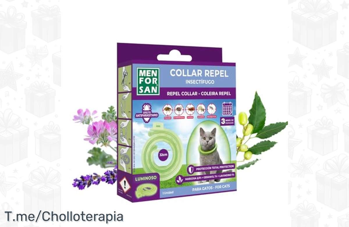 ¡Mantén a tu gato a salvo de los insectos con este collar único de MENFORSAN! ¡Aprovecha ya esta oferta especial!