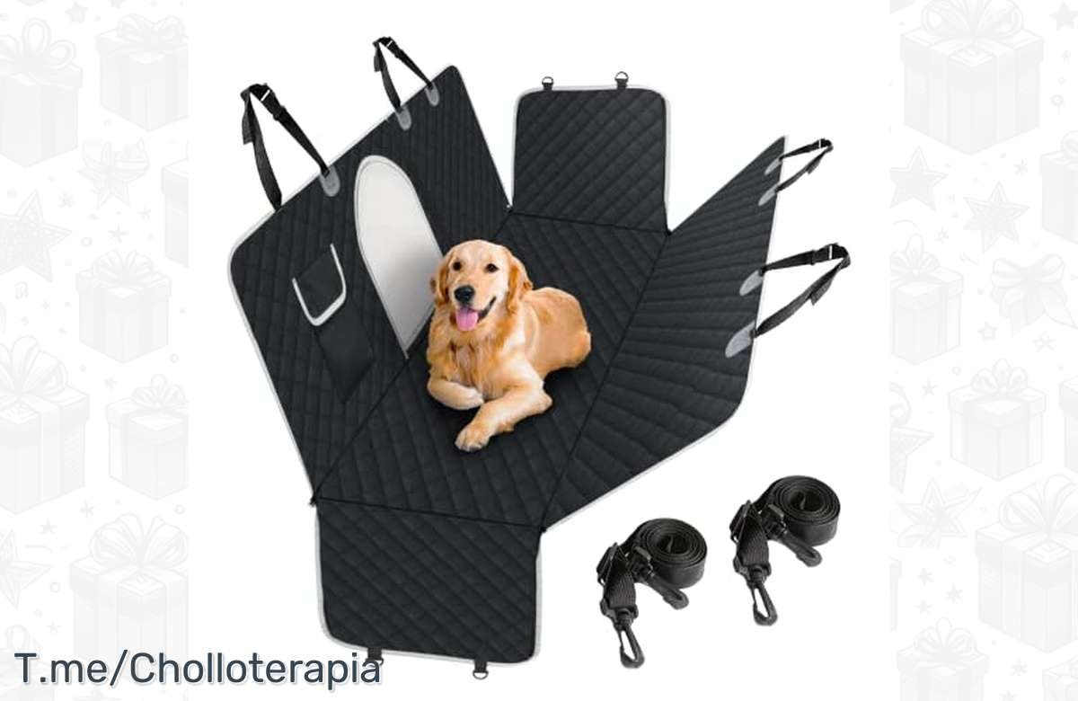 ¡No dejes pasar esta oferta única para cuidar tu coche con la funda PetsN’all!