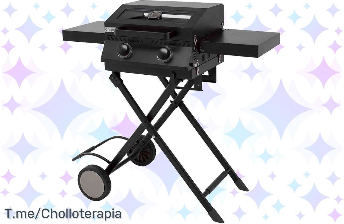 ¡No te pierdas esta ganga! Barbacoa de gas 2 quemadores al precio más bajo. ¡Compra ya!