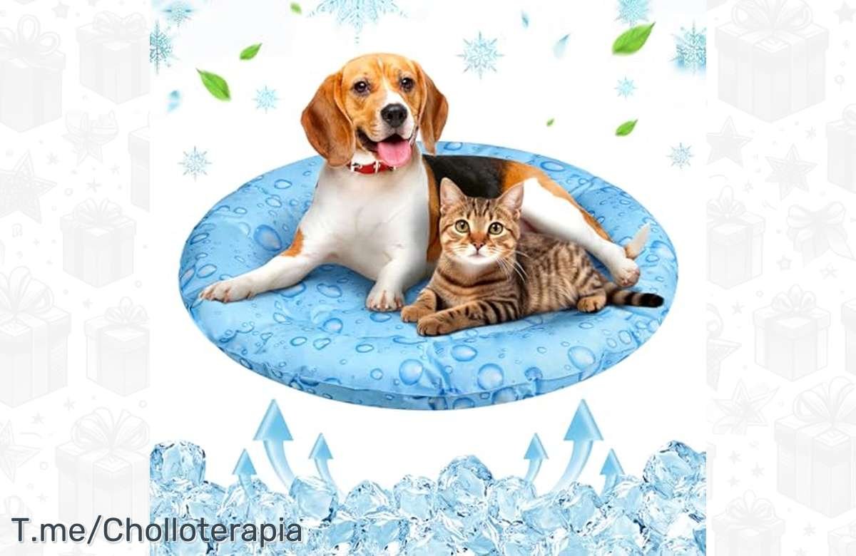 ¡Oferta exclusiva! Consigue la cama refrescante para perros Yerloa con un 50% de descuento. ¡Tu mascota no pasará calor este verano!