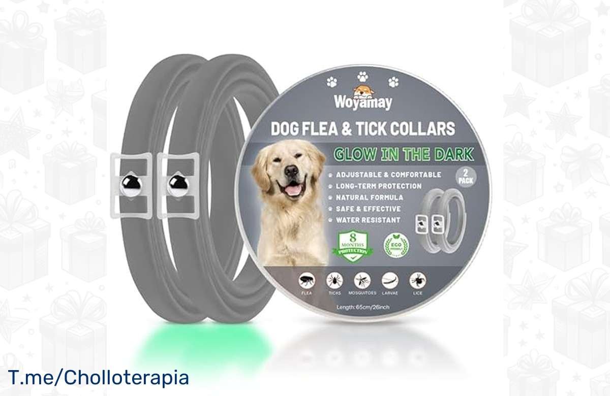 ¡Oferta exclusiva! Pack doble de collares antiparasitarios para perros: ¡Máxima protección por menos dinero!