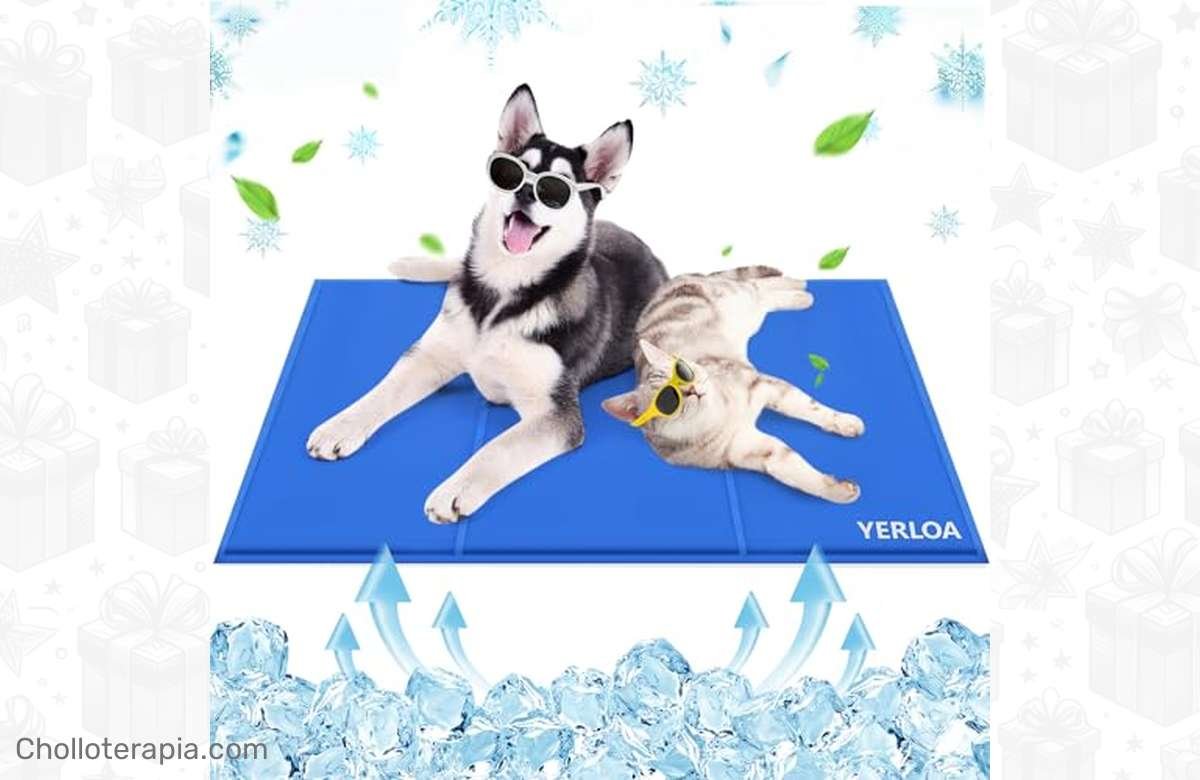 ¡Oferta irresistible! 50% de descuento en la alfombra refrescante para mascotas Yerloa Manta. ¡No dejes que tus peludos sufran el calor!