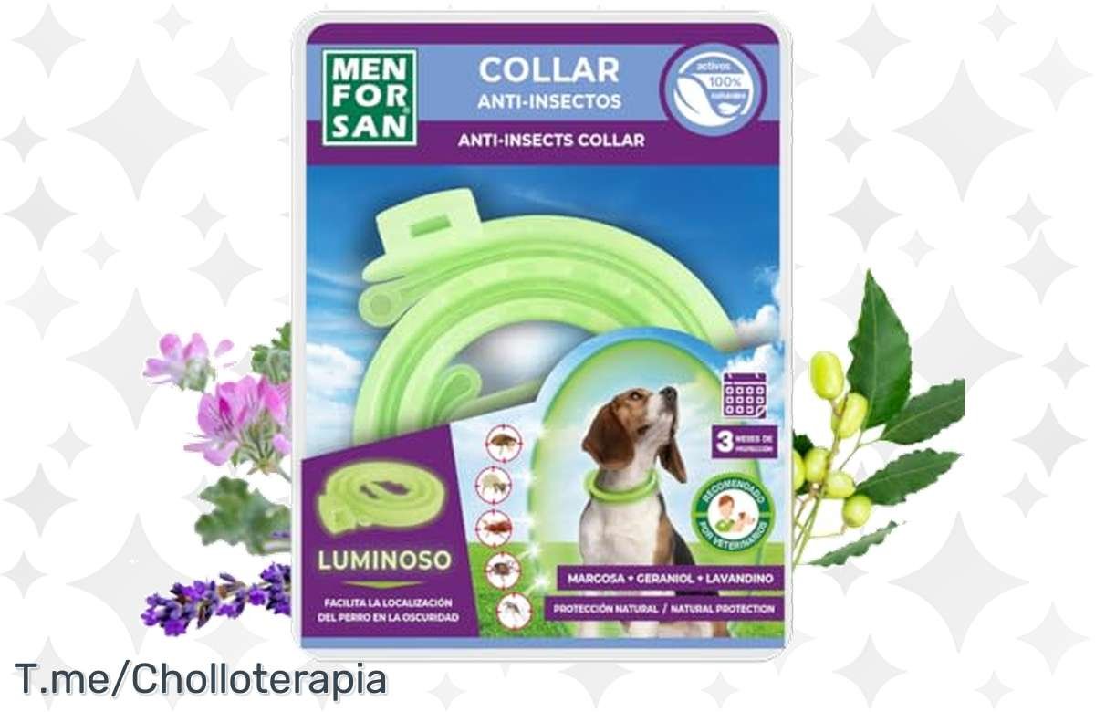 ¡Protege a tu peludo de los insectos con este increíble protector luminiscente!