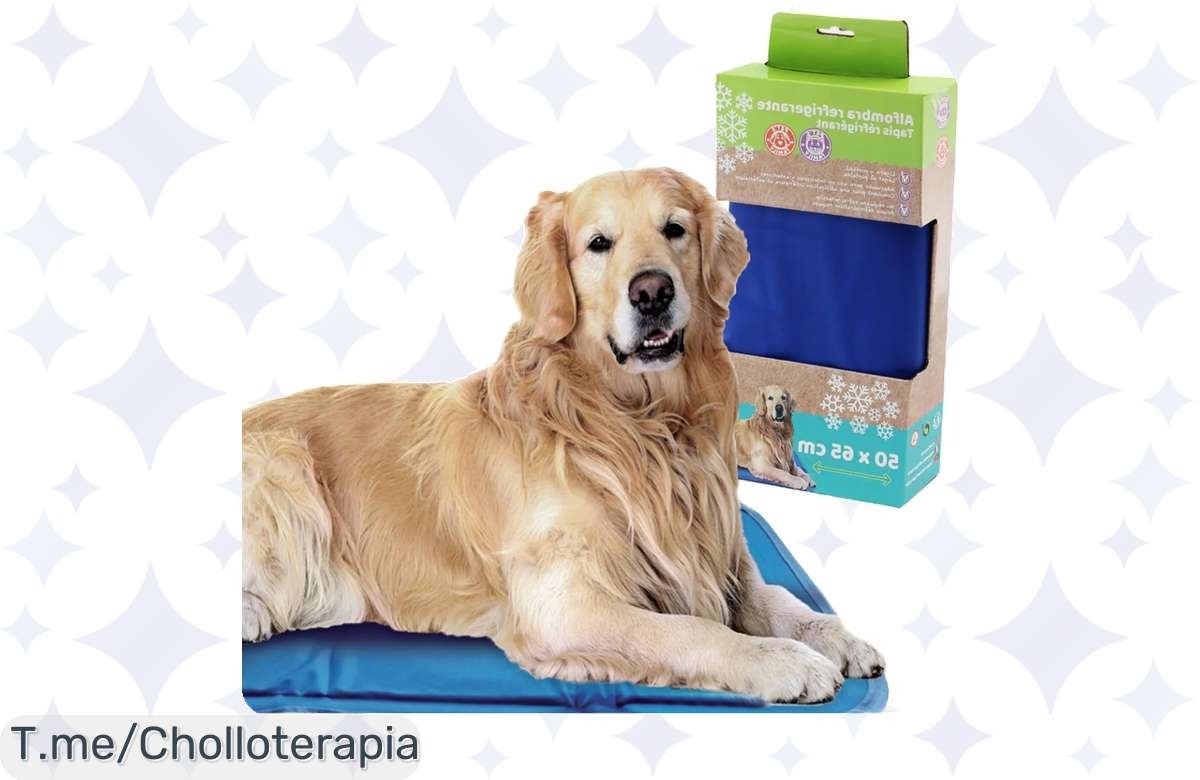 Alucina con esta Alfombra Refrescante para Mascotas a Precio de Risa – ¡Cómprala Ya!