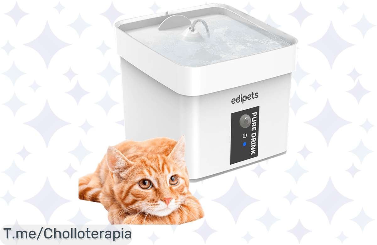 ¡Consigue la fuente para gatos más top antes de que se agote!