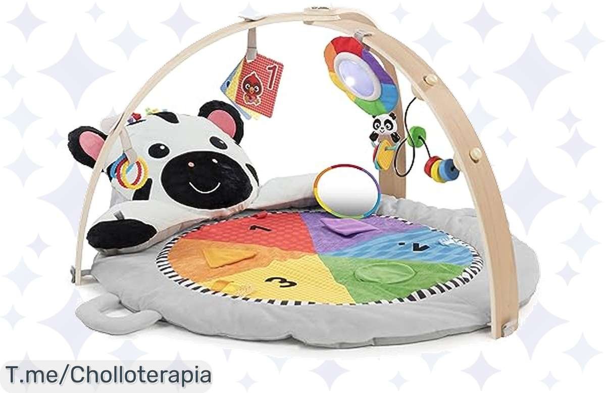 ¡Mega Oferta! Gimnasio de Peluche Baby Einstein para que tu Bebé Aprenda Jugando!