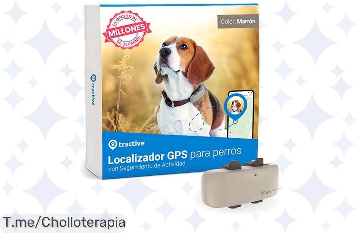 ¡No pierdas de vista a tu perro con este GPS baratísimo! Seguridad garantizada por casi nada
