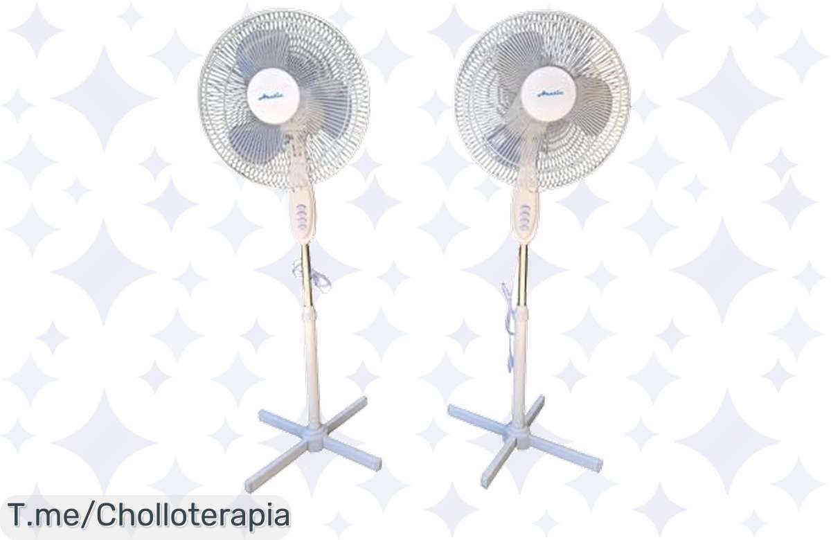 ¡No te derritas este verano! Llévate 2 ventiladores Artic a precio de chiste.