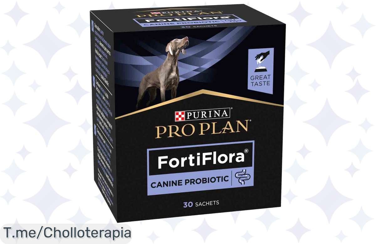 ¡No te lo pierdas! Purina PRO PLAN fortiflora para tu perro