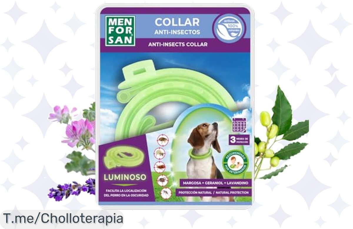 ¡Oferta Relámpago! Collar Luminiscente AntiInsectos para Perros con Ingredientes Naturales ¡Protección 4 Meses a Precio Insuperable!