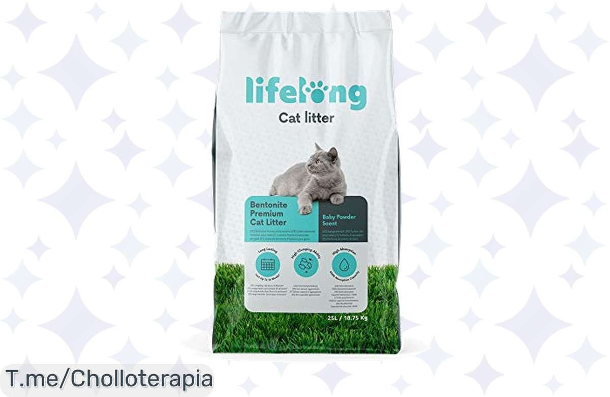 Arenero para gatos top: absorción total a precio de ganga, solo por tiempo limitado!
