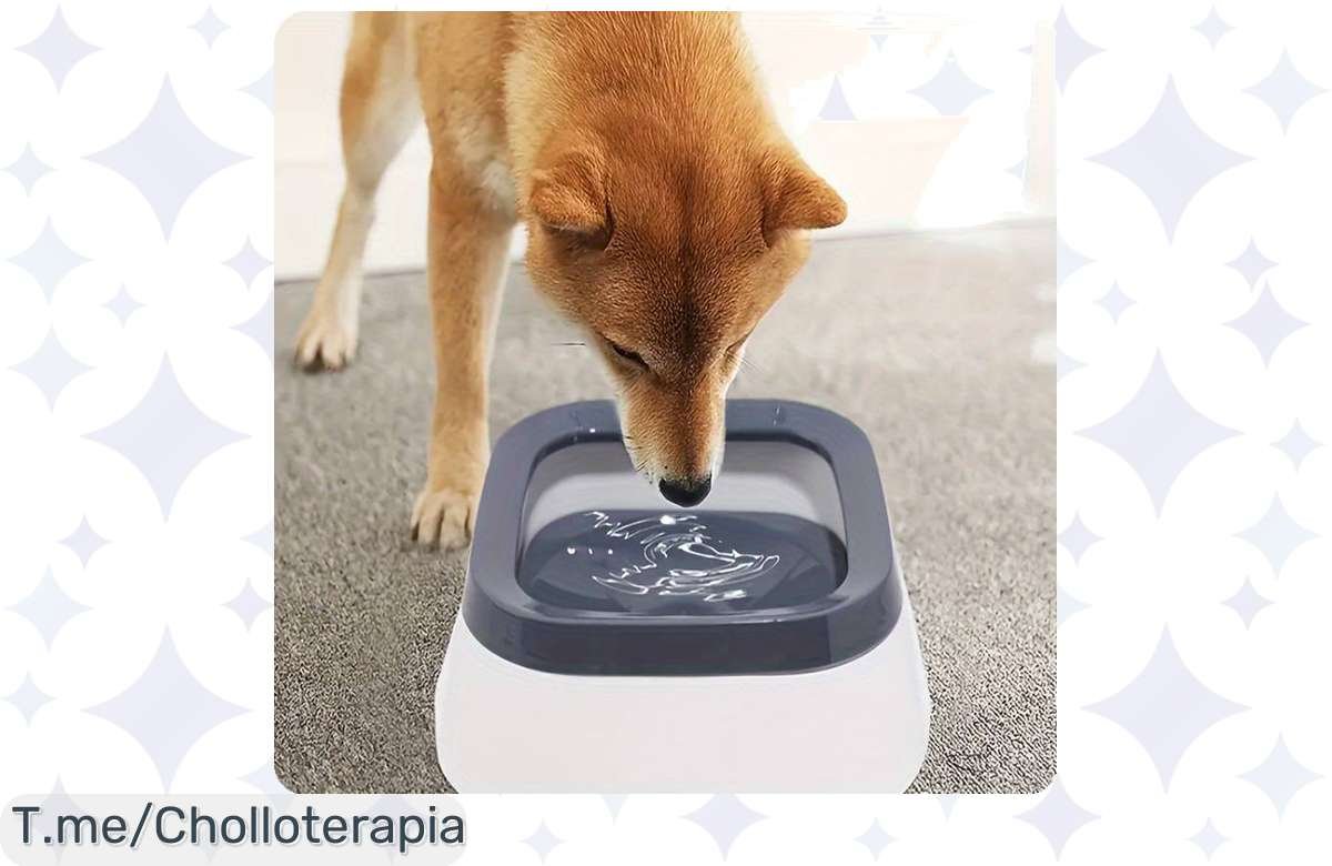 Bebedero antisalpicaduras para mascotas: ¡Oferta de locura para dueños inteligentes!