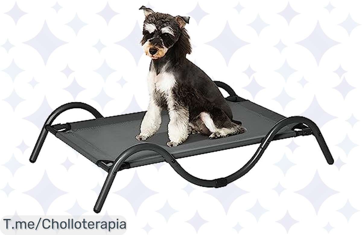 Cama Elevada Premium para Perros: ¡Rebajón del 50%! Tu mascota lo merece ahora.