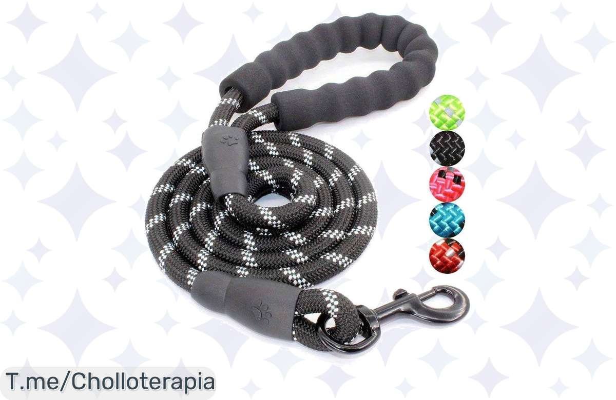 Chollazo total: Correa de lujo para tu perro a precio de risa